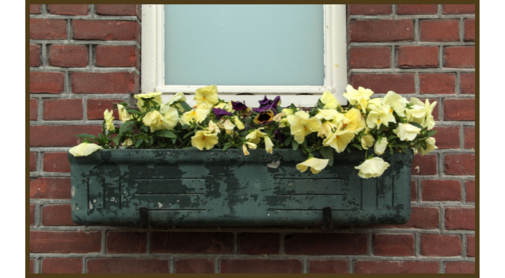rustic green planter hanging on a window sill of a brick house