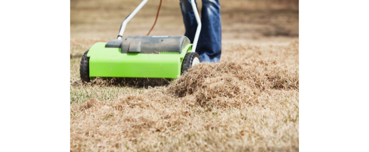 power rake as its pushed over the lawn collecting dead grass