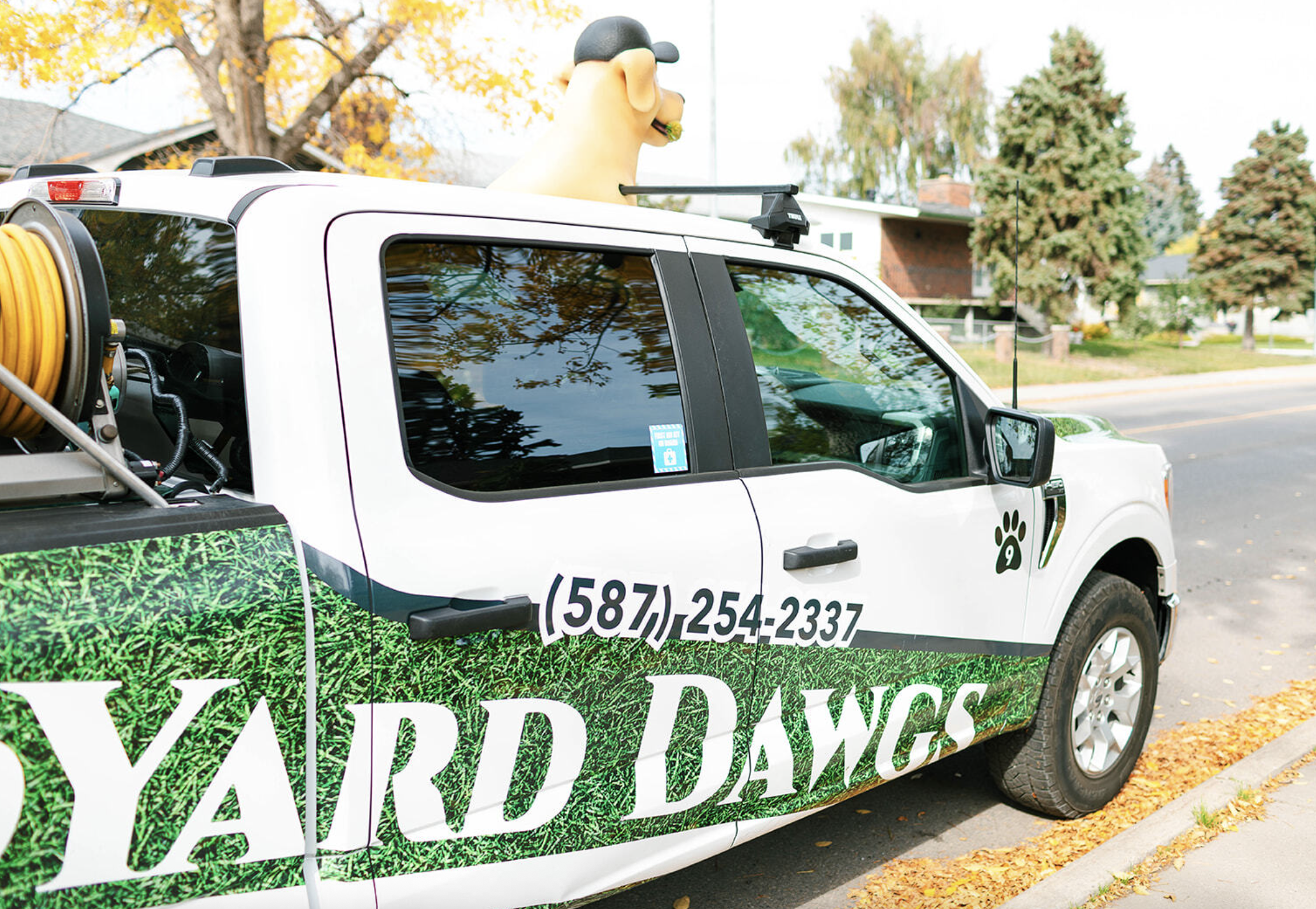 Key Services Offered by Professional Lawn Care Providers