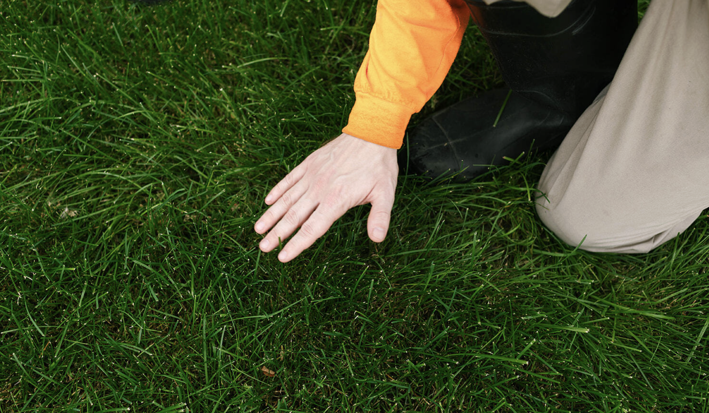The Difference Between Mechanical and Liquid Aeration