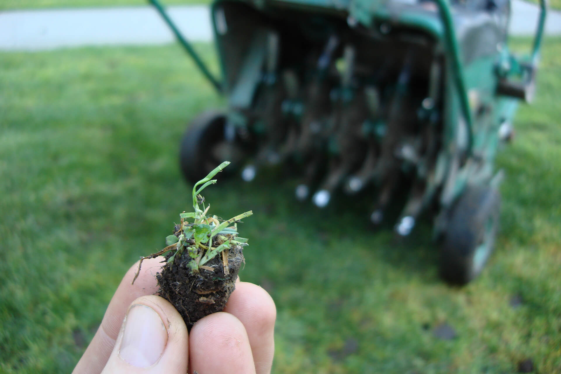 Spring Lawn Aeration