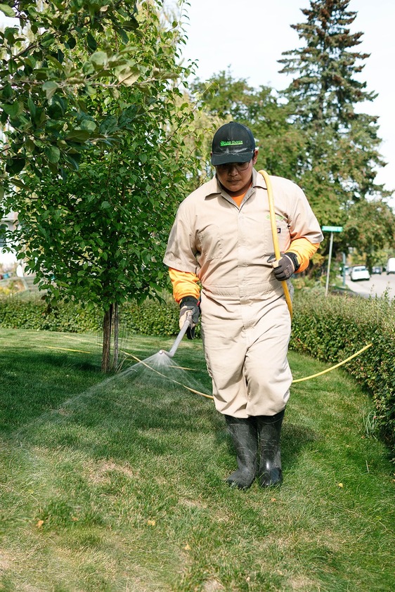 Professional Weed Control