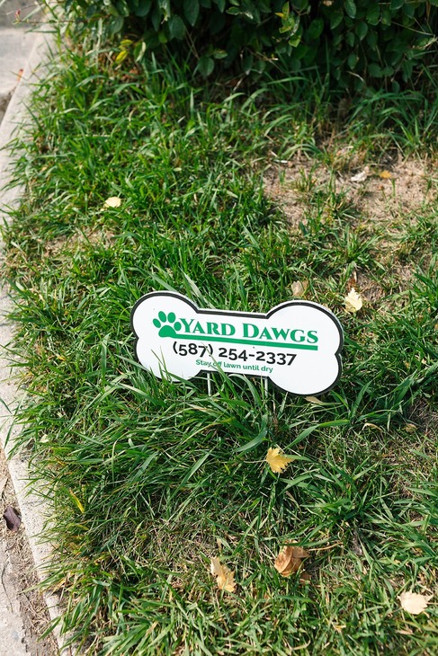 Yard Dawgs