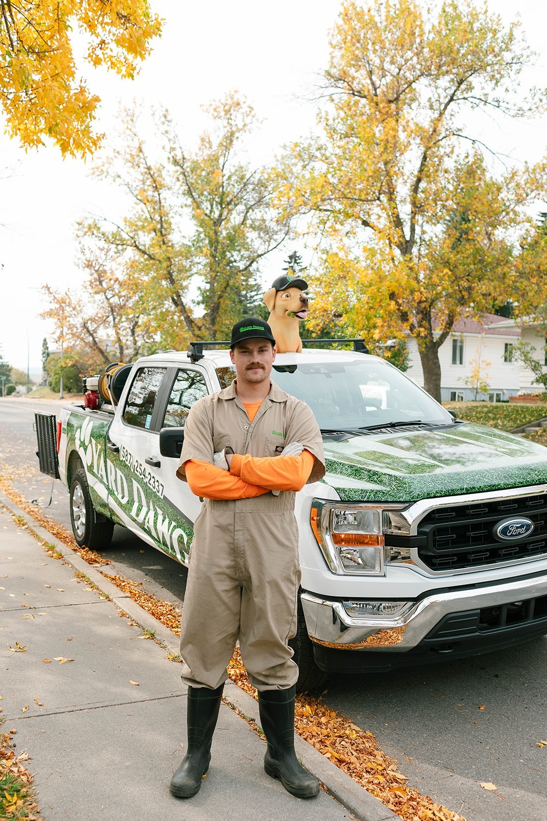 Yard Dawgs Local Lawn Care Provider
