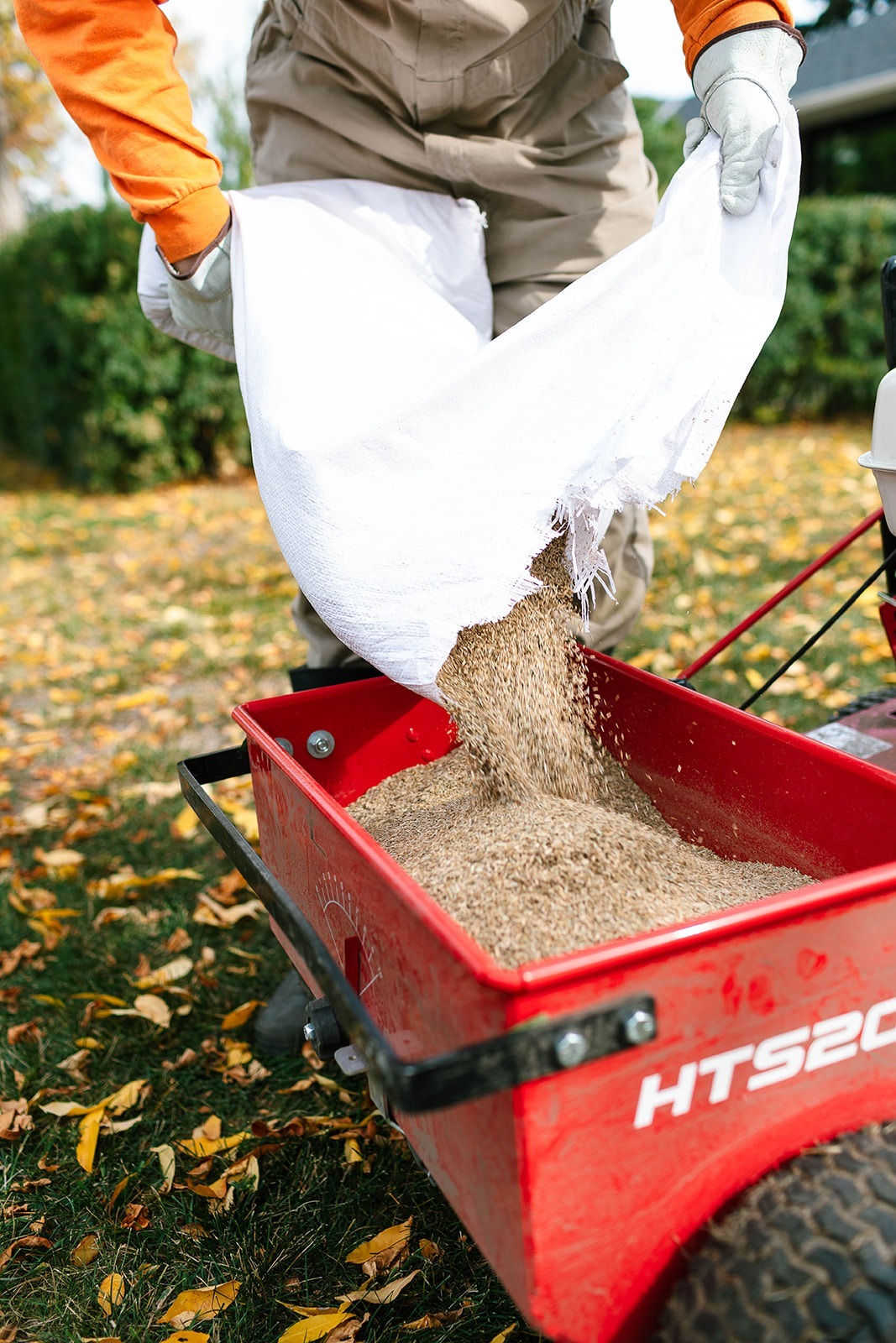 Professional Lawn Reseeding in Spring