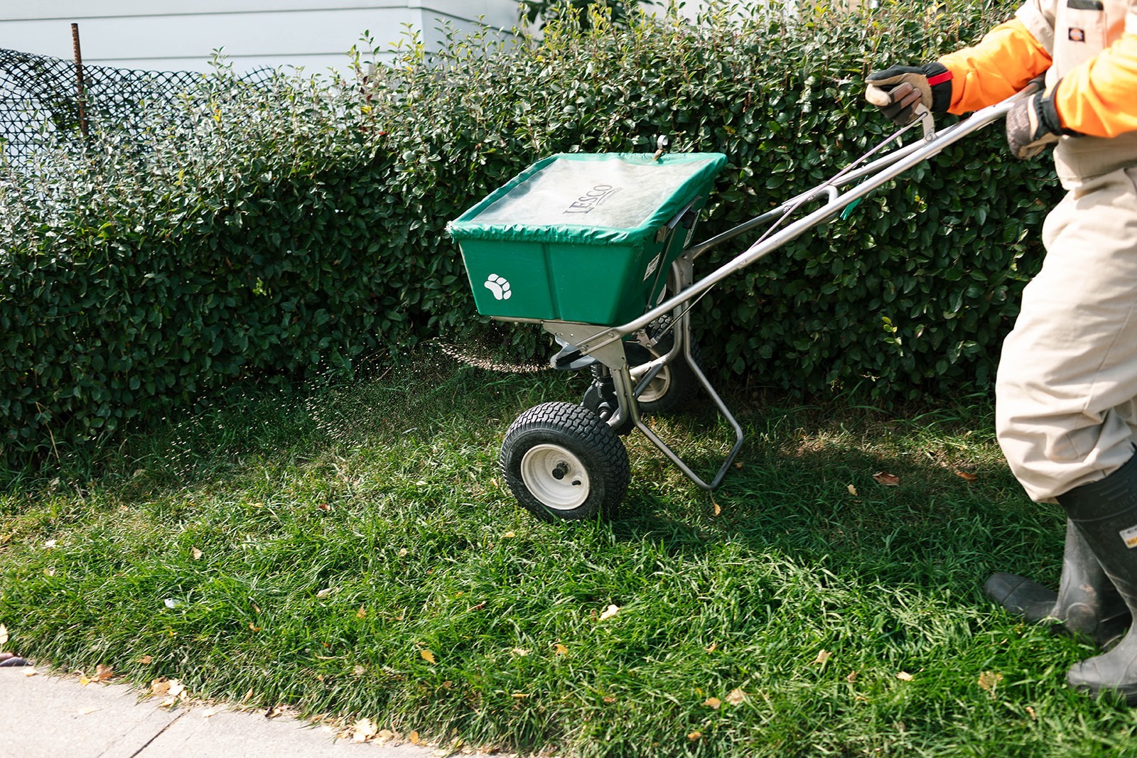 Summer Fertilizing Service