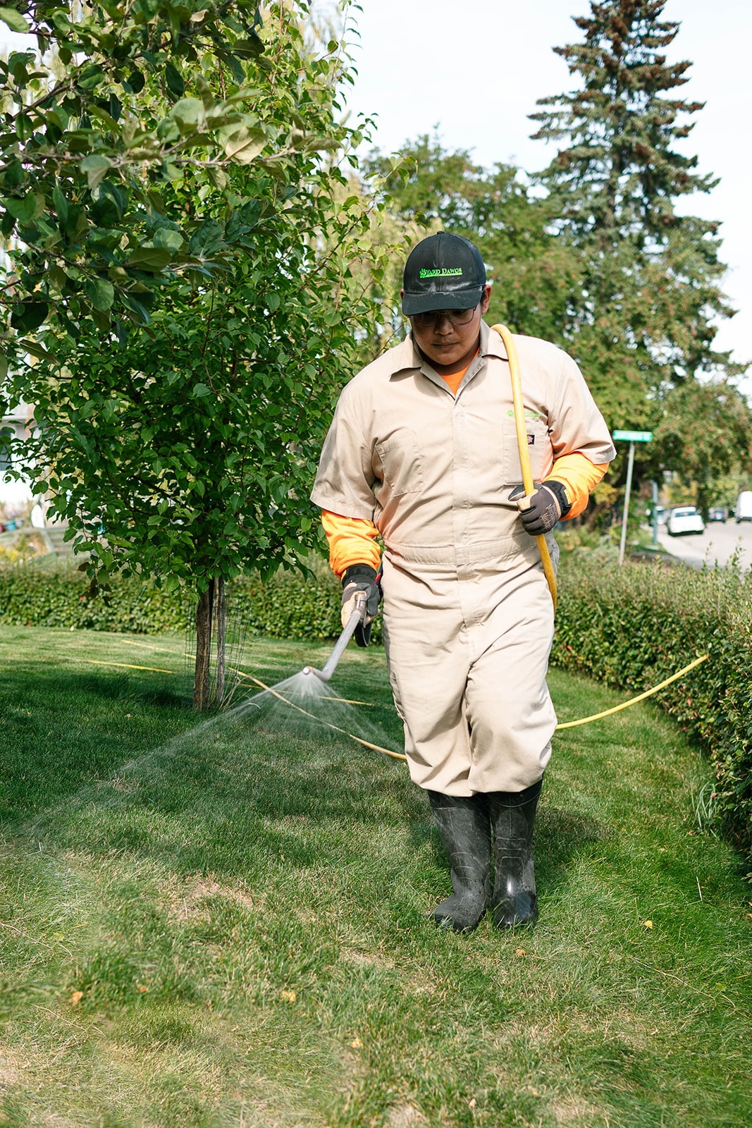 Spring Weed Control Service