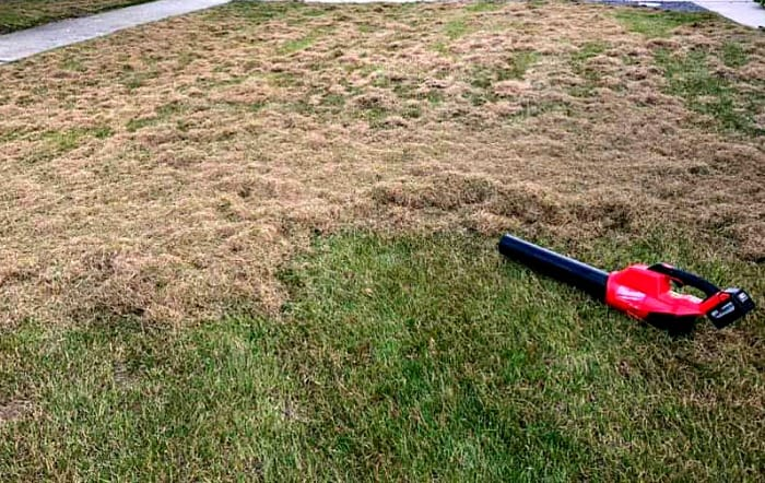 Spring Lawn Dethatching