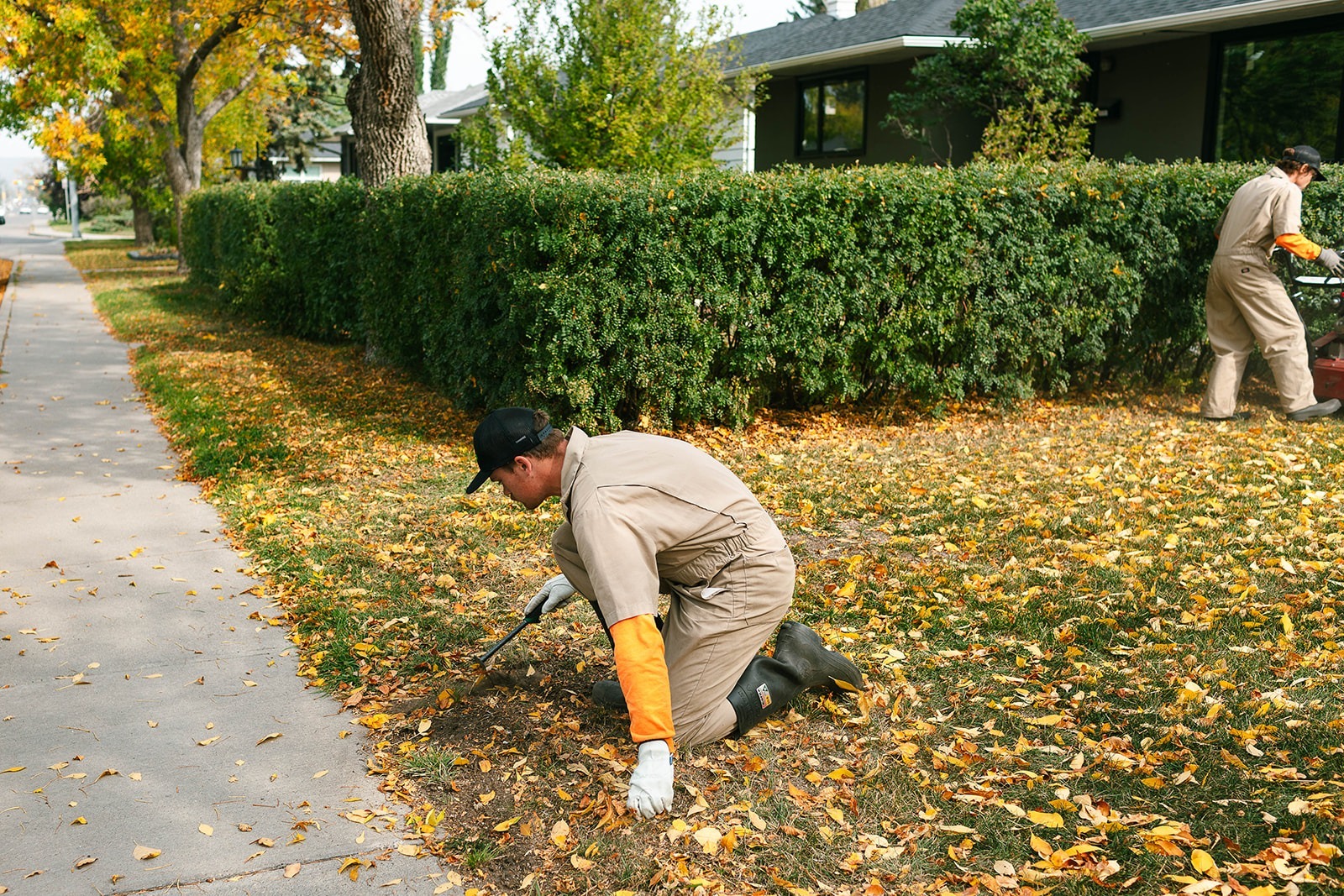 Prepare Your Lawn for Overseeding