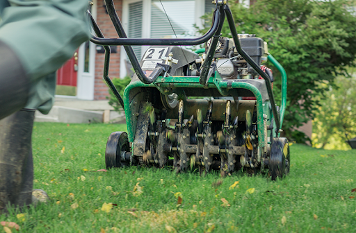 Lawn Aeration Service