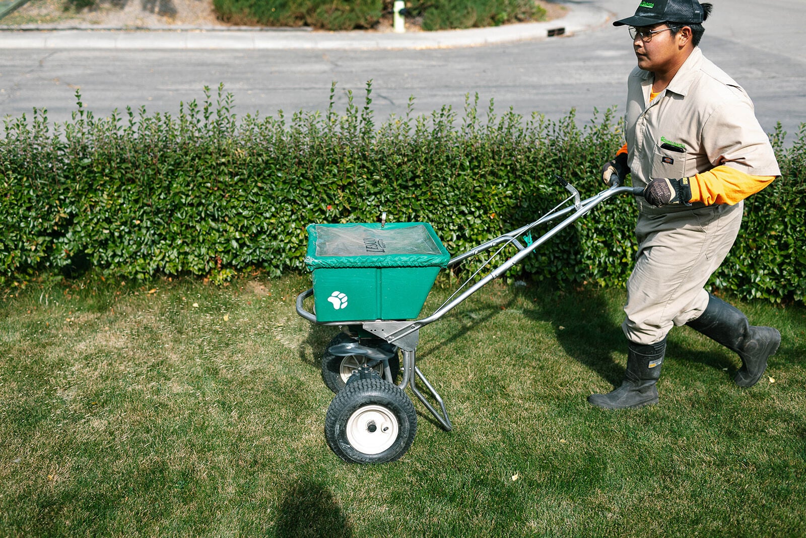 When to Apply Fall Fertilizer in Calgary and Edmonton